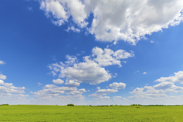 Green field with blue sky, countryside landscape.