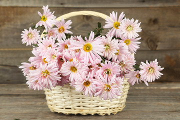 Obraz na płótnie Canvas Lilac chrysanthemums in basket on grey wooden background