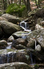 la cascata del torrente