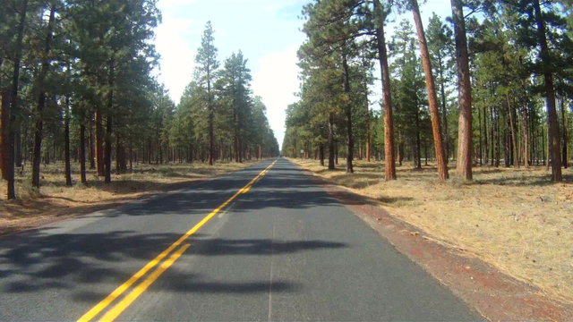 County Road Rural Oregon Forested Landscape Auto Transportation