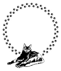 Round frame with black cat and cat's footsteps
