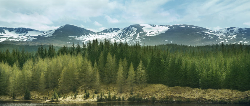 Fototapeta Highland Mountains and Forests