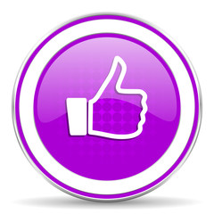 like violet icon thumb up sign