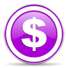 dollar violet icon us dollar sign
