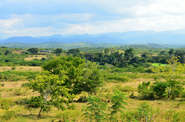 Fototapeta na wymiar View of the landscape tropical climate Cuba, 