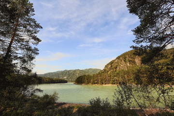 mountain river in the early morning. summer landscape.