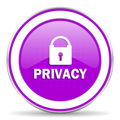 privacy violet icon