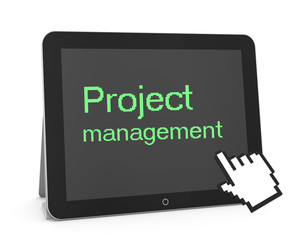 project management
