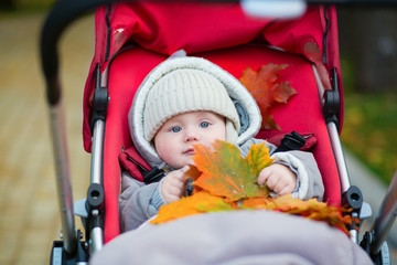 Little boy in stroller playing with autumn leaves