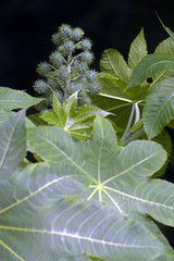 LOCAL: São Paulo - SP - Brasil.DATA: 05/2015