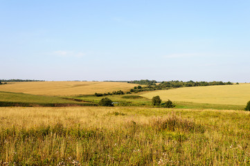 Fields and meadows on the hills