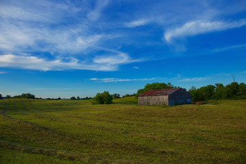 Fototapeta na wymiar American farmland with field and blue sky with white clouds 