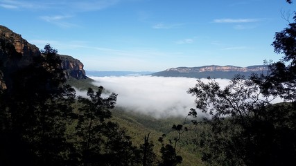 Wentworth falls, Blue Mountains, Australia