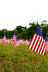 A lot of american flags. Memorial/ Independence Day celebration