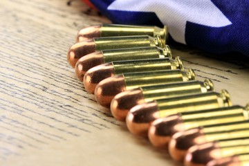 Ammunition on US Constitution - The Right to Bear Arms