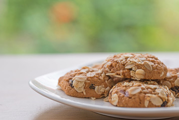 Soft oatmeal cookies.