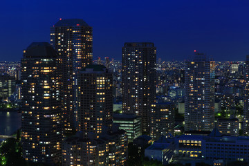 Fototapeta premium Tokyo skyline at night