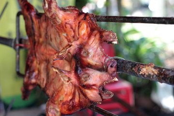 Barbecued suckling pig - roasted pig