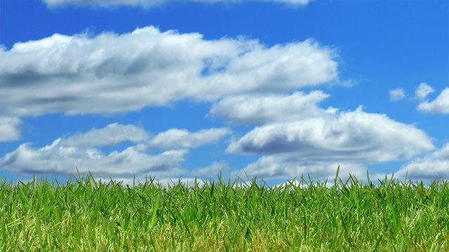 Green Grass with Time Lapse Sky, Panning Right to Left