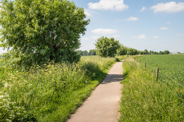 Fototapeta na wymiar Narrow path in a rural landscape in springtime