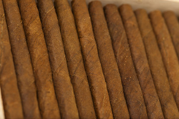 cigars 