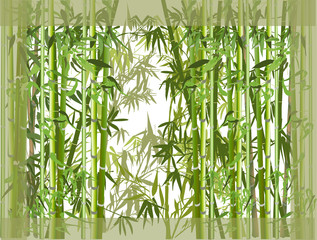 Fototapeta na wymiar green bamboo overgrowth illustration