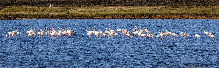 Naklejka premium Saline di Trapani