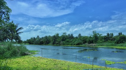 Obraz premium Bluesky in afternoon