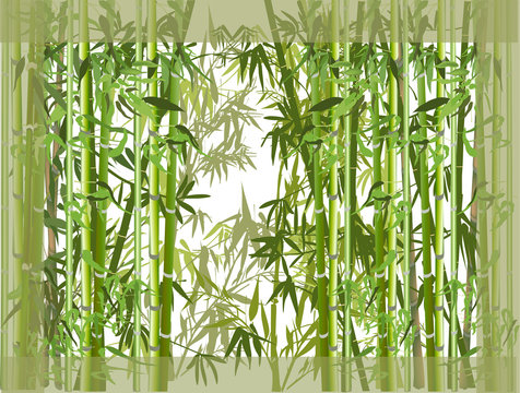 green bamboo overgrowth illustration
