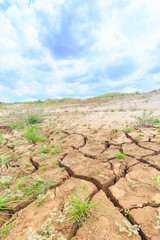 surface crack of soil in arid area