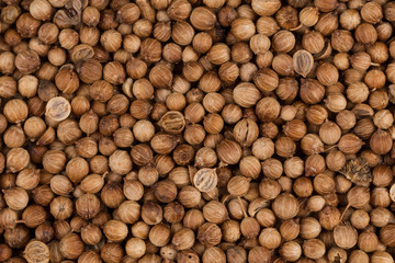 Close up of dried coriander seeds