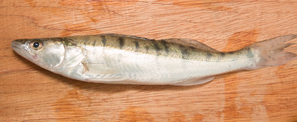 fish pike perch on a wooden background