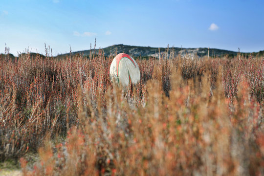 Pallone da rugby in un campo aperto 