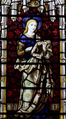 Obraz premium Mary in stained glass