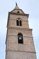 Fototapeta na wymiar Duomo Church of Andria. Puglia. Italy. 