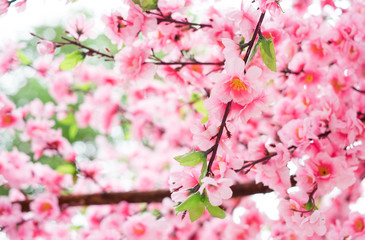 Obraz na płótnie Canvas close up plastic sakura flower