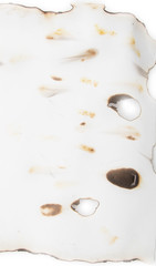 paper with charred edges