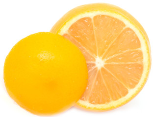 lemon on a white background