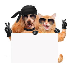 Dog and cat with peace fingers in black leather gloves.