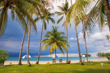 Obraz premium Tropical beach with palm trees, dramatic sky with dark clouds