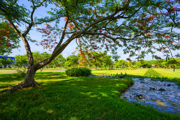 View of green trees in the city park