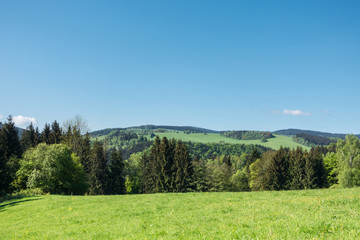 Spring countryside with pastures, trees and blue sky