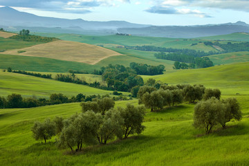 Obraz premium Scenic summer Tuscany landscape , Italy