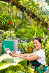 Modern greenhouse worker