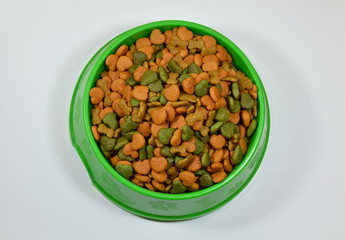 dog food in green bowl