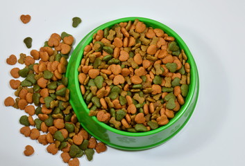 dog food in green bowl