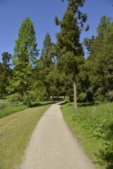 Fototapeta na wymiar Chemin dans la nature luxuriante du parc Solvay à la Hulpe