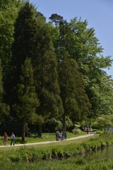 Fototapeta premium Promenade entre l'étang et les arbres majestueux du parc Solvay