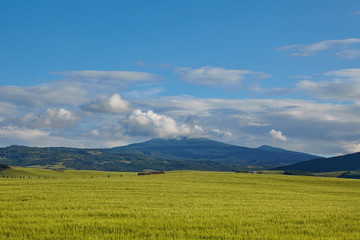 Obraz premium Scenic summer Tuscany landscape , Italy