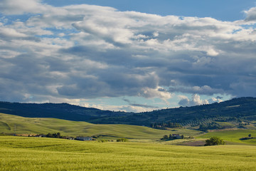 Obraz premium Scenic summer Tuscany landscape , Italy